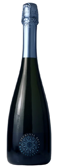 borgofulvia brut G.png